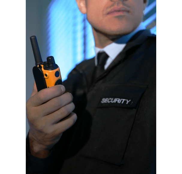 Service Image